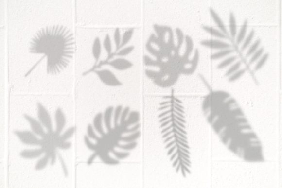 Download Leaf Shadows Procreate Brushes - Brush Collection
