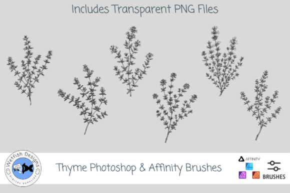 Download Thyme Photoshop &amp; Affinity Brushes - Brush Collection