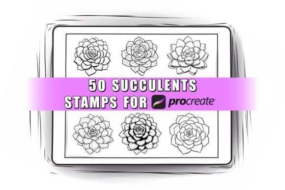 Download Succulent Procreate Stamps Brushes - Brush Collection