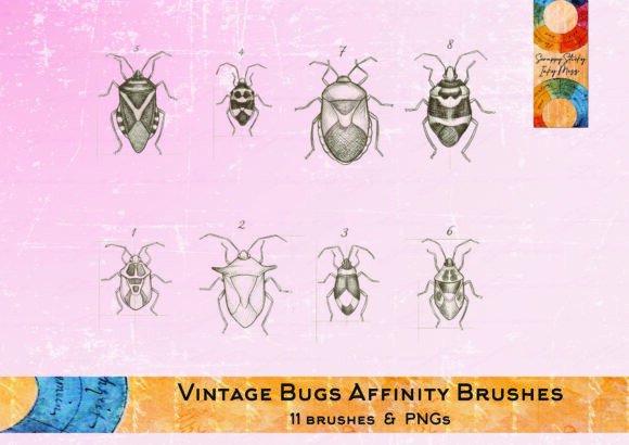 Download Vintage Bug Stamps &amp; Affinity Brush Set - Brush Collection