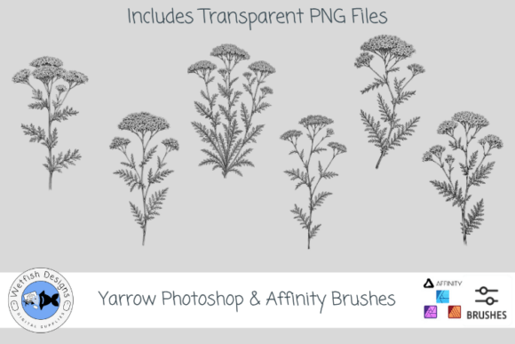 Download Yarrow Photoshop &amp; Affinity Brushes - Brush Collection