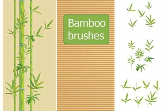 Download Bamboo Vector Brushes - Brush Collection