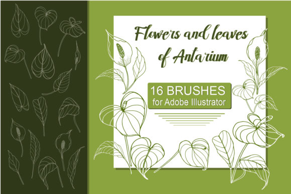 Download Antarium Flowers and Leaves Brushes - Brush Collection