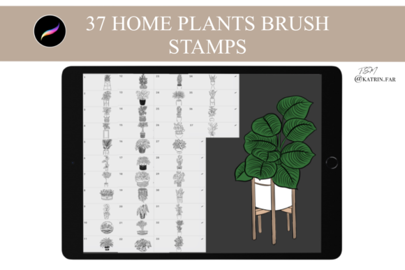 Download Home Plants Stamps Brushes for Procreate - Brush Collection