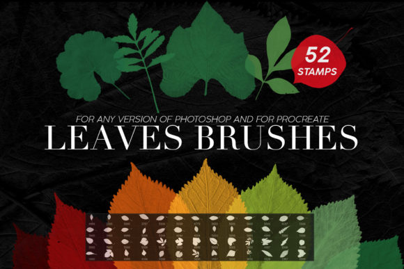Download Leaves Photoshop Stamp Brushes - Brush Collection