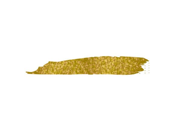 Download Glitter Gold Brush Stroke Style Element - Brush Collection