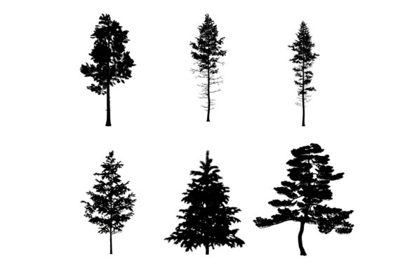 Download 6 Pine Tree Photoshop Brushes - Brush Collection