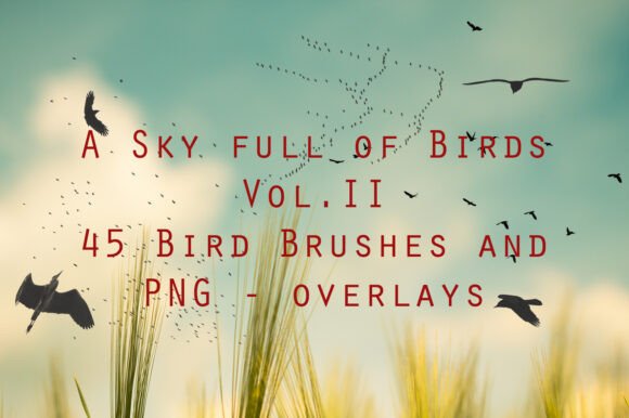 Download 45 Bird Brushes and Bird PNG Overlays - Brush Collection