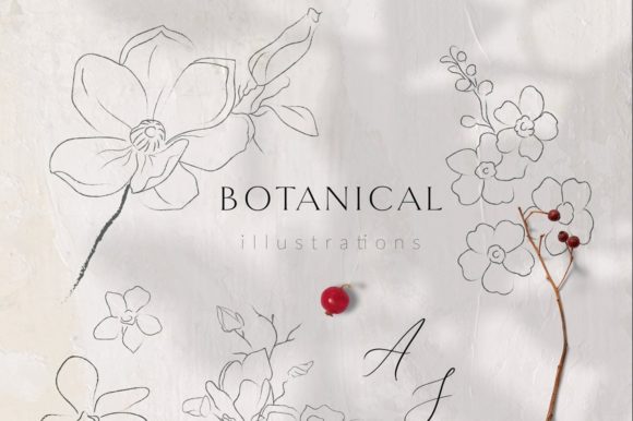 Download Line Drawing Botanicals, Plants. Brushes - Brush Collection
