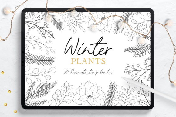 Download Winter Plants Procreate Stamp Brushes - Brush Collection