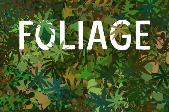 Download Procreate Foliage Brush Set - Brush Collection