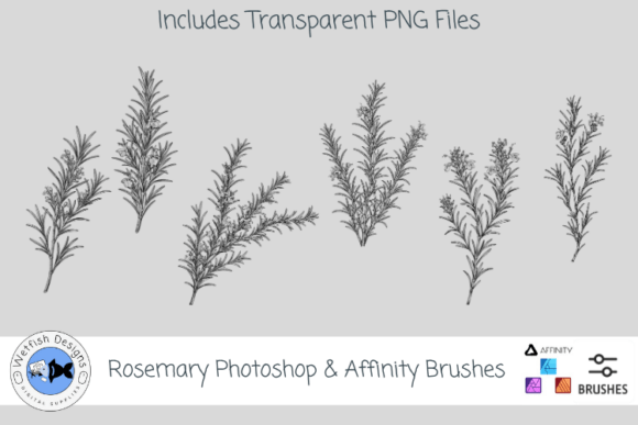 Download Rosemary Photoshop &amp; Affinity Brushes - Brush Collection