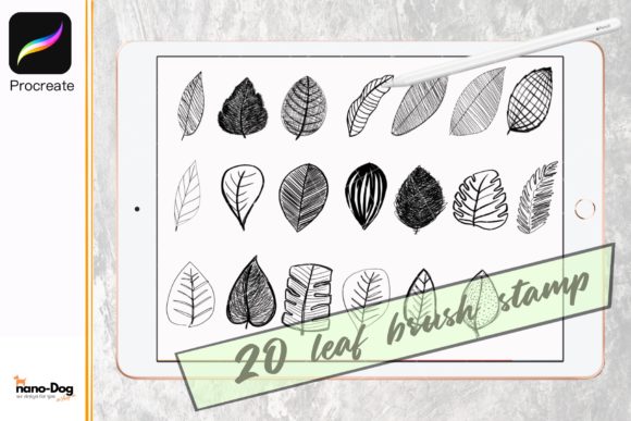 Download Procreate Brush Stamp Set 20 Leaf - Brush Collection
